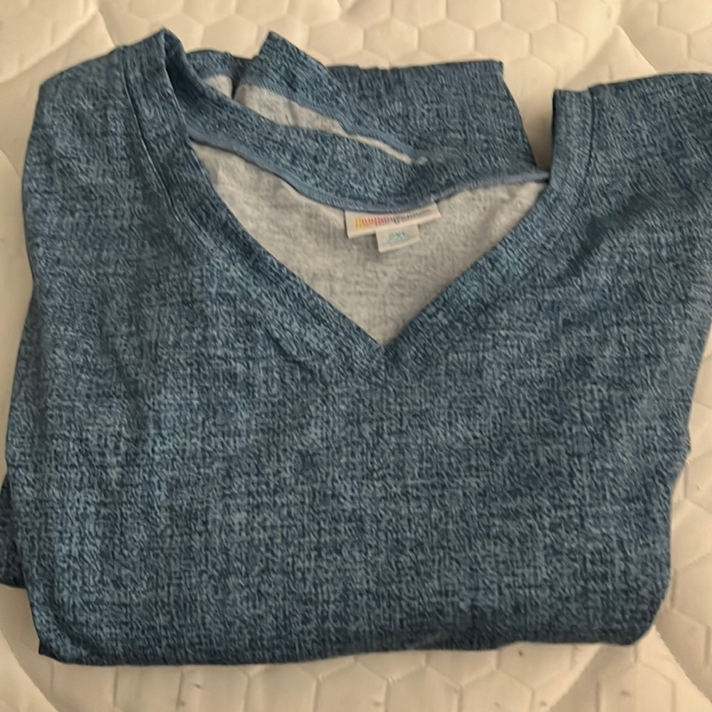 Long sleeve swing dress.